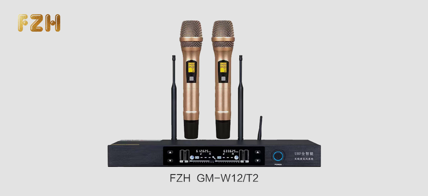 GM-W12T2